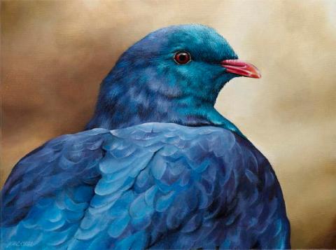 Kereru painting by Marie-Claire Colyer